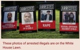 White House Lawn illegals