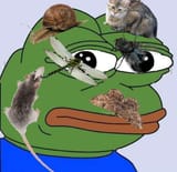 PESTpe