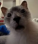 Huh