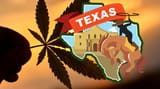 nomoreweed4upng
