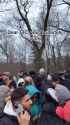 1712010164462235_thumb.jpg