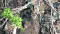 2025-06-22__madyar_thumb.jpg