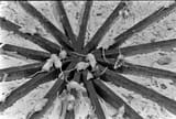 90ca30da5036d6b0ff_GettyImages-1189194492
