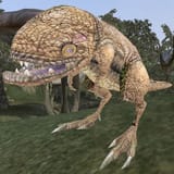 google-images