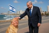 jewtrump64