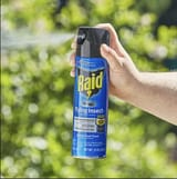 raid