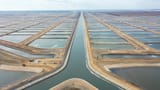 fish_farm