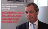 Nigel Farage views