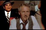 newman
