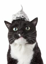 1731638281084826