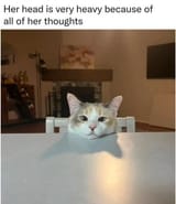 1750605692135183