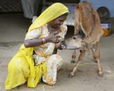 indian woman