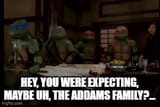 turtles adams family