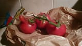mes soeurs tomates