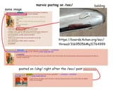 marxio tranny