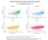 whites-fertility-immigration-race-birthrate