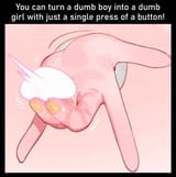 1706567002617962