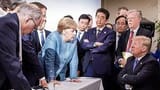 trump merkel