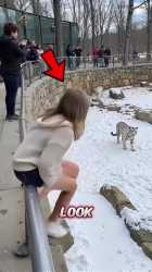 23 (2)_thumb.jpg