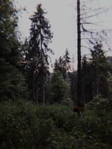 1623421834483