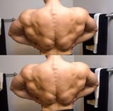 jeff nippard back 8 years ago