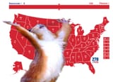 Peanut nation