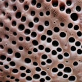 image_N4PWI3sw_1682446509013_raw