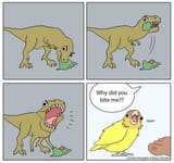 dino_birb