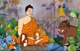 chuddha meditating in the forest