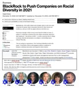 blackrock diversity