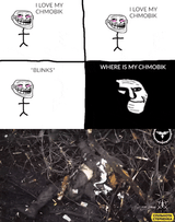 172684898387605