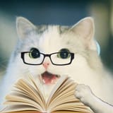 NIGGERKOTBOOKISH