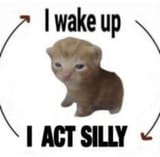 1749565070573909