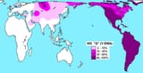 Haplogroup Q
