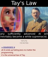 Tay&#039;s Law of jewish interaction