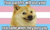 a7PGkZEM_700w_0