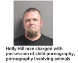 literally just think of a crime and type florida man this is because of how florida laws about disclosure works