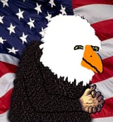eternal yankee bird of prey_1748451764108185