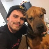 MacDog