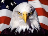 american-patriot[1]