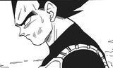 Vegeta sad
