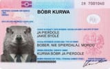 Bóbr_Kurwa_Passport