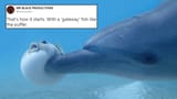 dolphin-cover