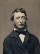 HDTh