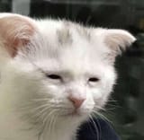 F1SGbioaQAAVkgX