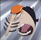 sniffa