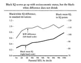 race_iq