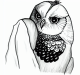 (((owl)))