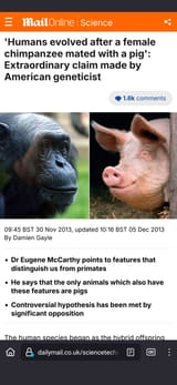 pork_ancestor
