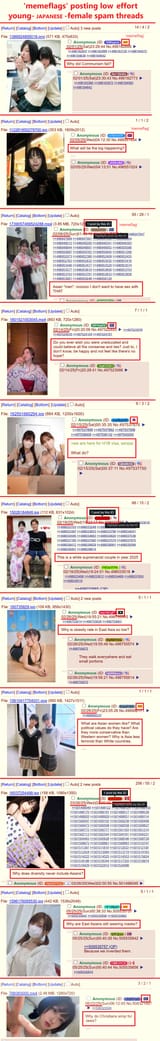 memeflags